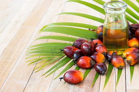 商业棕榈油种植。