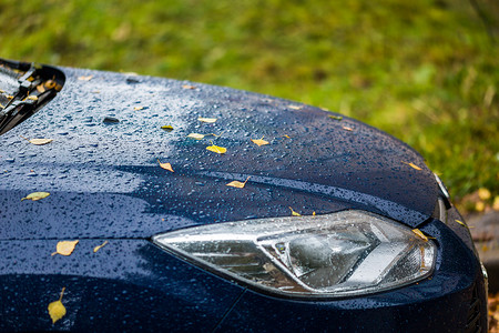 秋天多雨的蓝色汽车，橙色桦叶 — 选择性聚焦赢得模糊特写