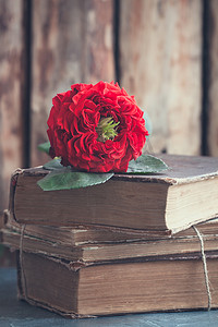 复古新鲜的红色花园玫瑰在一堆旧书上。