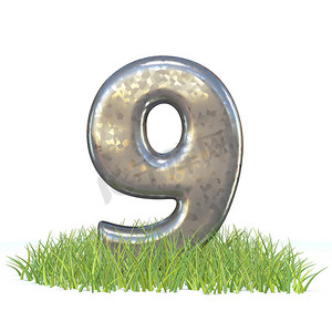 镀锌金属字体 Number NINE 9 in grass 3D