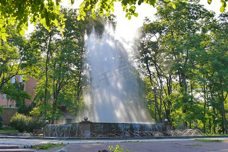 公园里树上的白色高喷泉，上面有落影