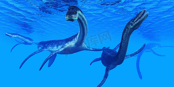蛇颈龙海洋爬行动物