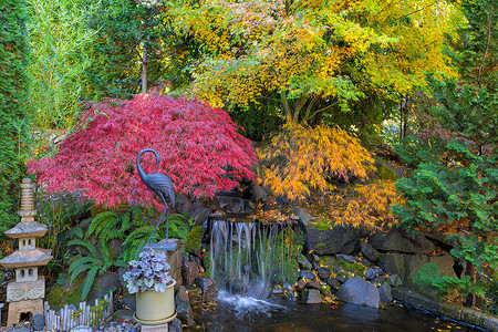 秋季的房子花园后院瀑布池