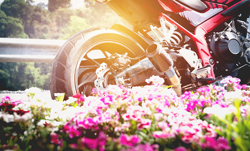 摩托车背景摄影照片_在路右边和桃红色花的摩托车停车处。