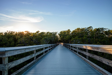 穿过沼泽的木板路，在日落时通往蛤蜊通行证
