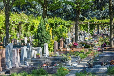 墓地里的鲜花，背景是墓碑