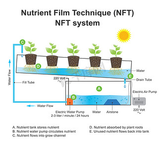 营养膜技术是一种水培技术。