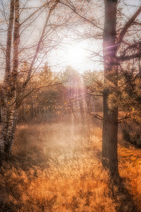 秋天风景海报摄影照片_秋季景观，巴伐利亚阿拉赫的 Moorpark