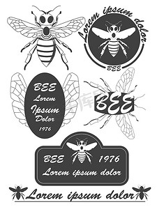 蜂蜜标签设计摄影照片_一套复古蜂蜜、蜜蜂标签、徽章和设计元素。