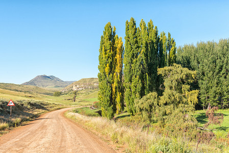 Rhodes 和 Barkly-East 之间的 R396 公路上的农场景观