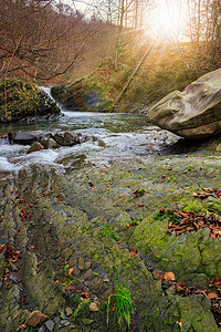 树下的石头摄影照片_阳光下有石头和苔藓的森林河流