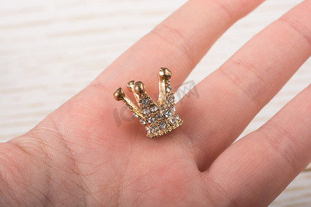 昆虫王国摄影照片_小模型皇冠放在手上
