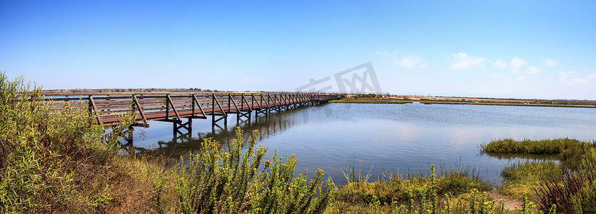 沿着 Bolsa Chica wetl 宁静祥和的沼泽建造桥梁