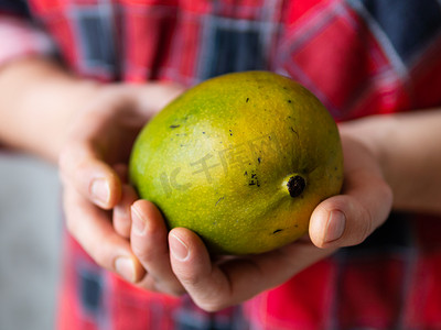 身穿格子呢格子衬衫的男人拿着 Mangifera indica，俗称芒果。