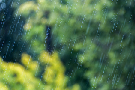 太阳图案摄影照片_模糊的绿色森林背景中阳光明媚的降雨