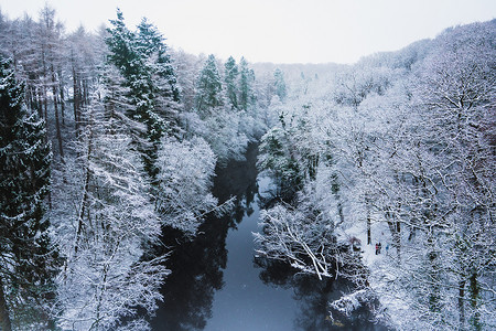 白雪皑皑的森林摄影照片_英国白雪皑皑的森林