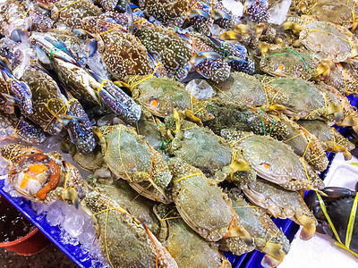新鲜的梭子蟹放在托盘和容器上，在市场上放着冰蟹，在选择购买海鲜时很受游客欢迎。