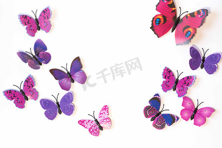 孤立在白色背景上的粉色和紫色蝴蝶