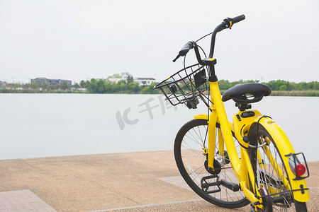 有沼泽背景的黄色自行车。