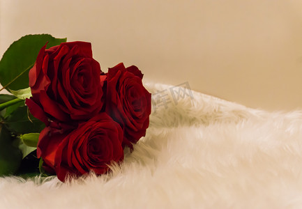 红玫瑰花瓣地毯摄影照片_情人节那天，铺在白色地毯上的一束红玫瑰浪漫地象征着爱与欣赏