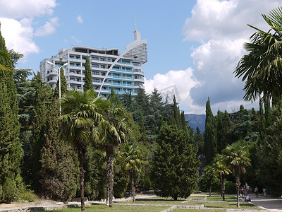 棕榈树和其他树木绿洲中的灰色摩天大楼，映衬着蓝天和天体云