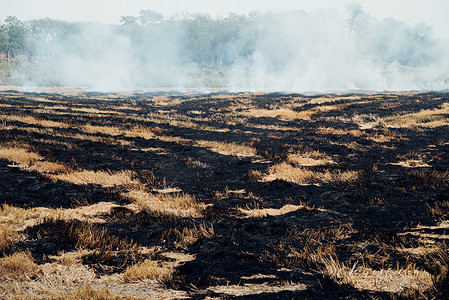 烧干草的火对环境有危险