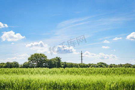 庄稼背景摄影照片_在一个有庄稼的绿色领域的定向塔