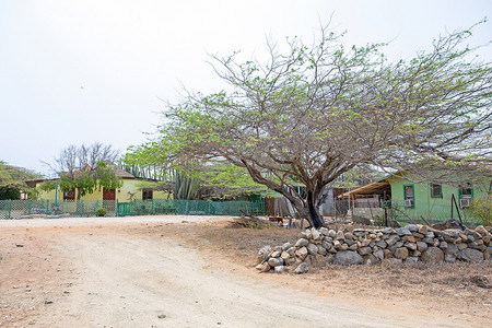 阿鲁巴岛上 cunucu 的传统阿鲁比亚房屋