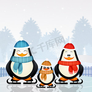 企鹅家庭摄影照片_冬天在冰上滑冰的企鹅