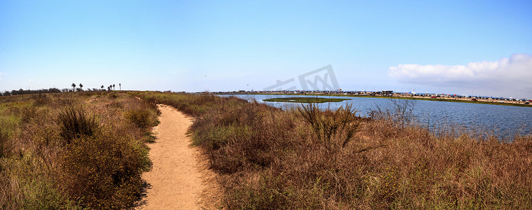 沿着 Bolsa Chica wetlan 宁静祥和的沼泽小径