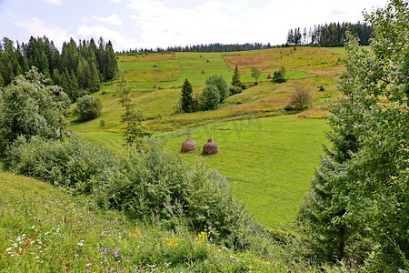 绿色的山坡摄影照片_绿色的山坡上有方块的干草。