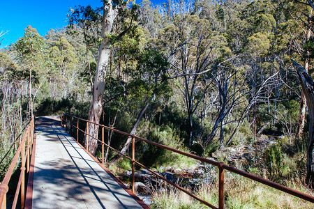 澳大利亚新南威尔士州的 Thredo Valley Track
