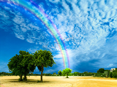 上帝保佑公园里的彩虹清澈和天空树