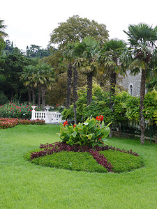 公园里翠绿的草坪，中间有一个设计师设计的花坛，花坛呈圆形，巨大的宽叶间开着红色的花朵。