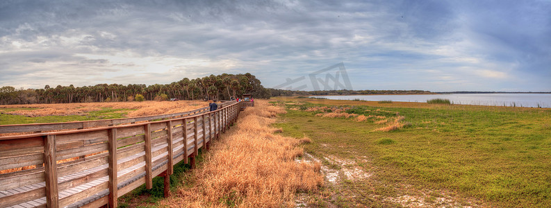 Myakka 河州湿地和沼泽的木板路