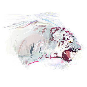 白虎，水彩插图