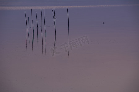 大湖夕阳，从芦苇丛中，