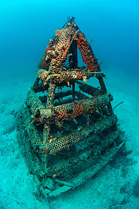 水深勿进摄影照片_马来西亚卡帕莱马布岛的人工鱼礁