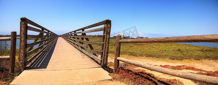 沿着 Bolsa Chica wetl 宁静祥和的沼泽建造桥梁