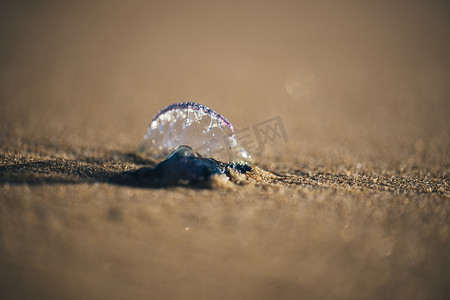 努萨摄影照片_阳光海岸努萨的阳光海滩