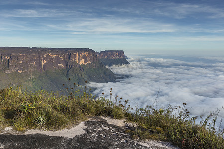 从罗赖马特普伊 (Roraima Tepui) 看迷雾 - 威尼斯