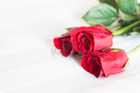 红色玫瑰背景摄影照片_在白色床背景、爱和浪漫感觉的特写镜头红色玫瑰