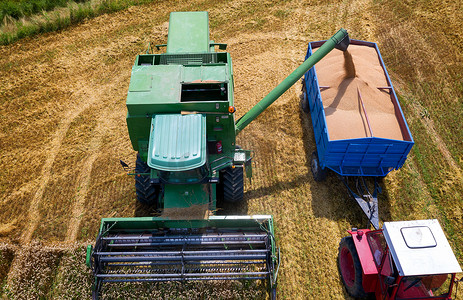 从联合收割机收集小​​麦到拖拉机拖车，来回鸟瞰