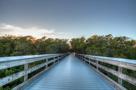穿过沼泽的木板路，在日落时通往蛤蜊通行证