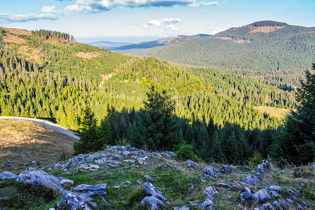 经典喀尔巴阡山脉山谷景观中的针叶林