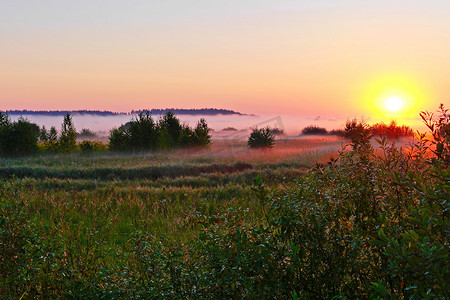 在明亮的金黄初升的太阳的光芒的早晨绿色有薄雾的领域