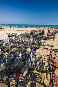 海边有很多自行车