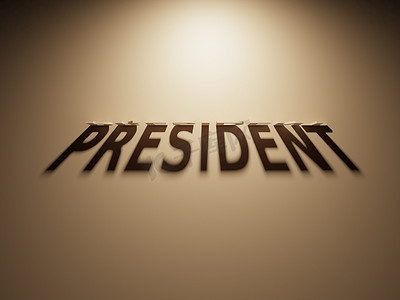 读取总统的阴影文本的 3D 渲染