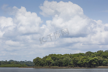 亚马逊河岸