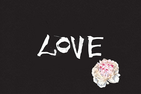 手写字母爱和美丽的牡丹花为情人节设计海报、贺卡、相册、横幅。